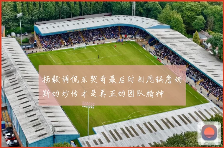 杨毅调侃东契奇最后时刻甩锅詹姆斯的妙传才是真正的团队精神