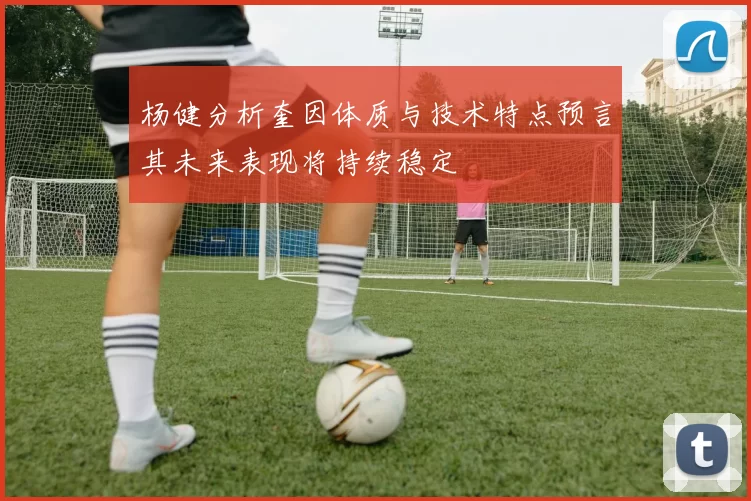 杨健分析奎因体质与技术特点预言其未来表现将持续稳定