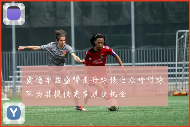 爱德华兹盛赞麦丹球技出众呼吁球队为其提供更多进攻机会