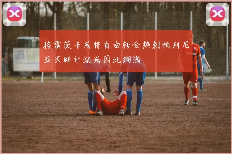 格雷茨卡或将自由转会热刺帕利尼亚买断计划或因此搁浅